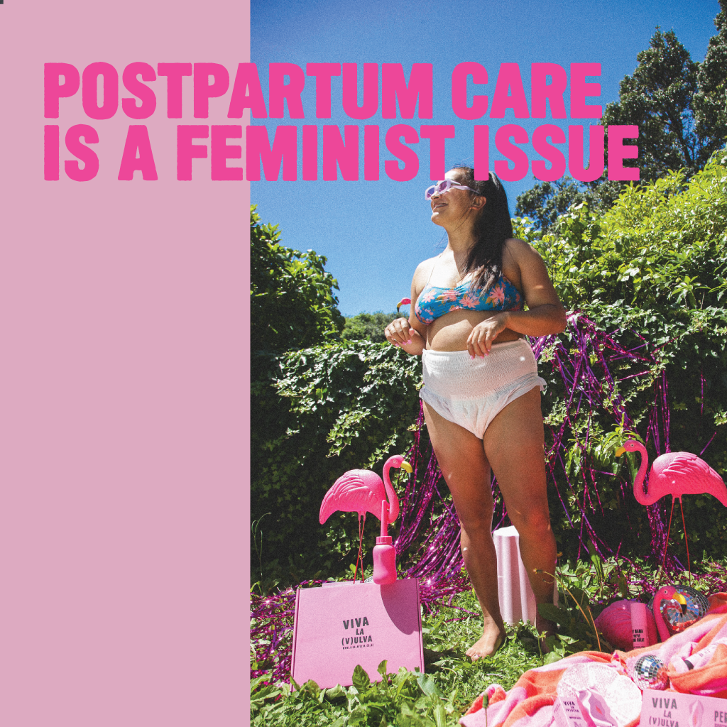 postpartum care is a feminist issue